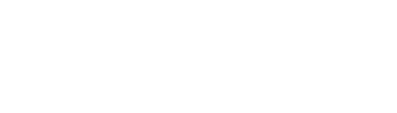 Saleo Logo